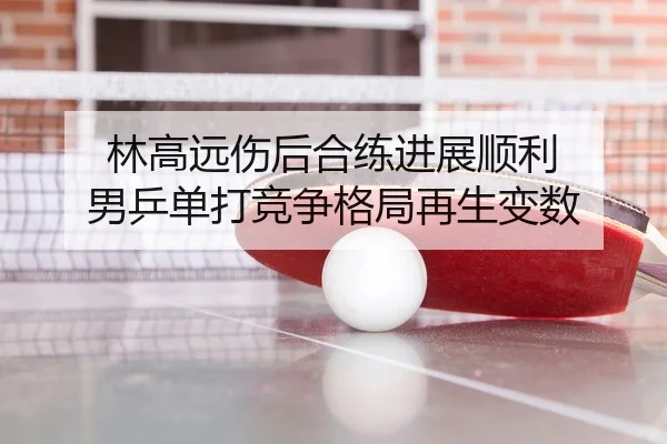 林高远伤后合练进展顺利 男乒单打竞争格局再生变数