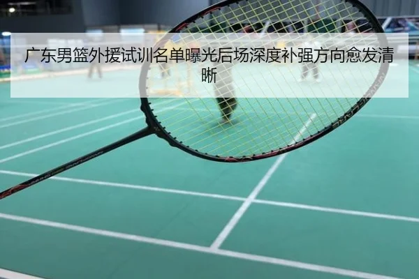 广东男篮外援试训名单曝光后场深度补强方向愈发清晰